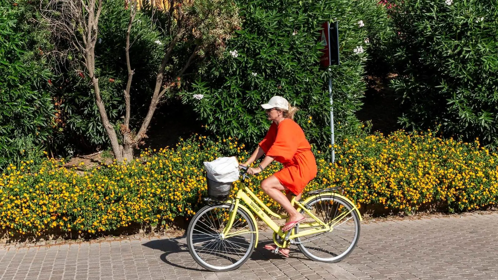 Holiday park Hu Park Albatros Village San Vincenzo